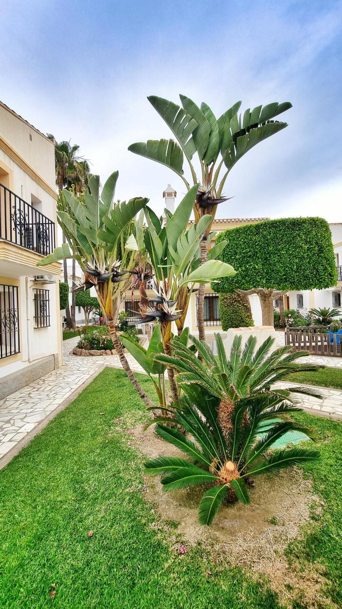 Apartamento Sol Y Mar Playas de Vera Exterior foto